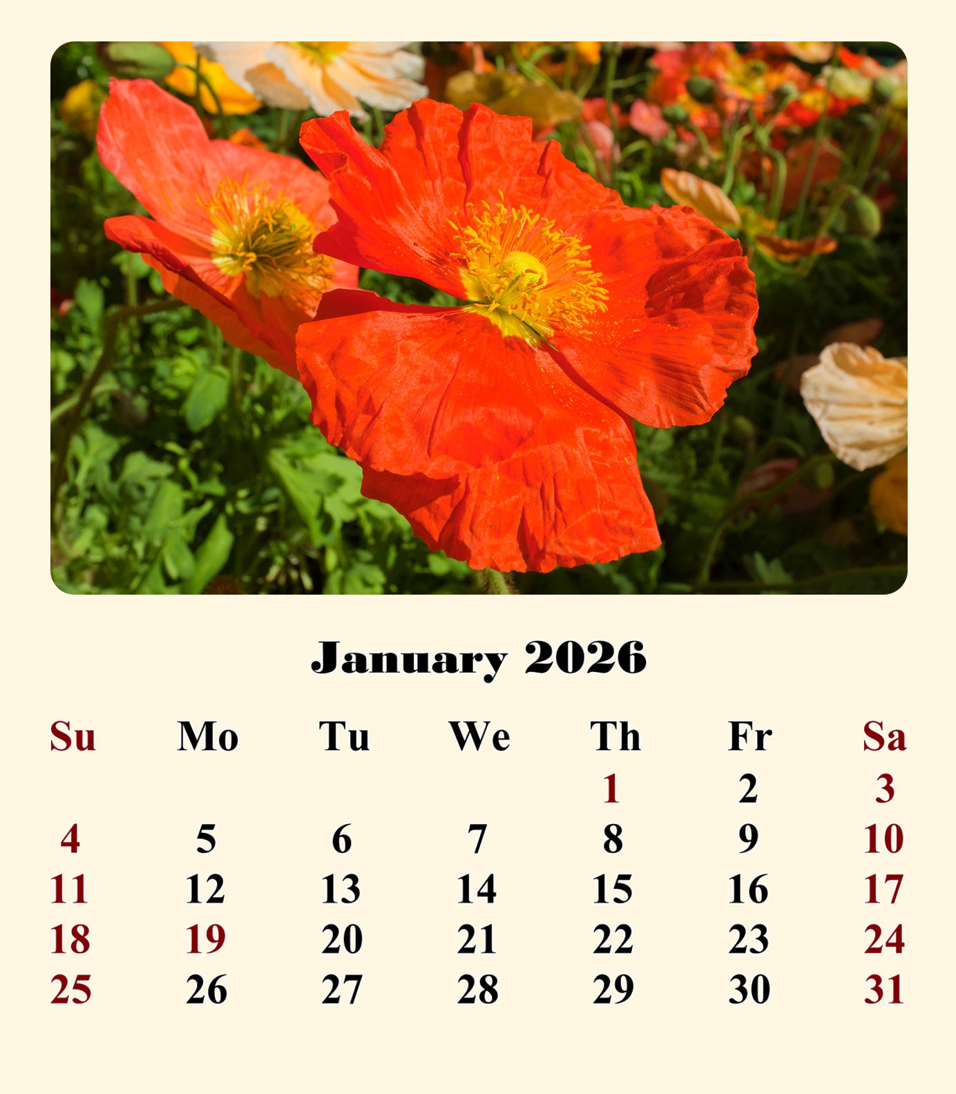 2025-2026 CD-Style Desk Calendar 18 Months Calendar (Flowers)