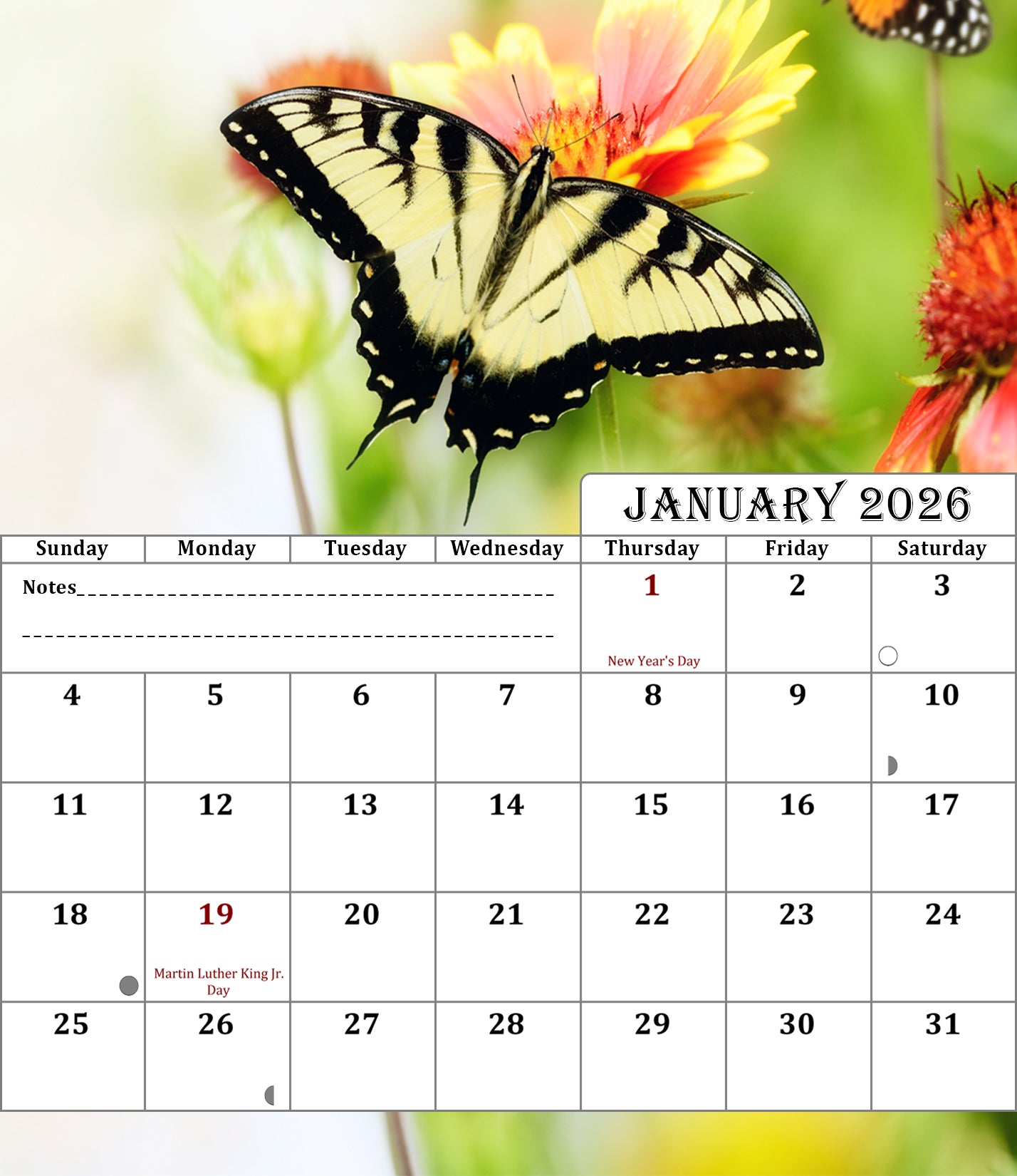 2025-2026 CD-Style Desk Calendar 18 Months Calendar (Butterflies)