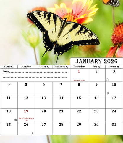 2025-2026 CD-Style Desk Calendar 18 Months Calendar (Butterflies)