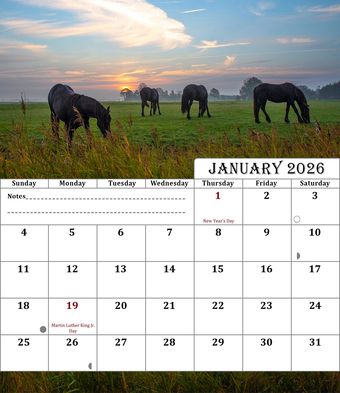 2025-2026 CD-Style Desk Calendar 18 Months Calendar (Horses)