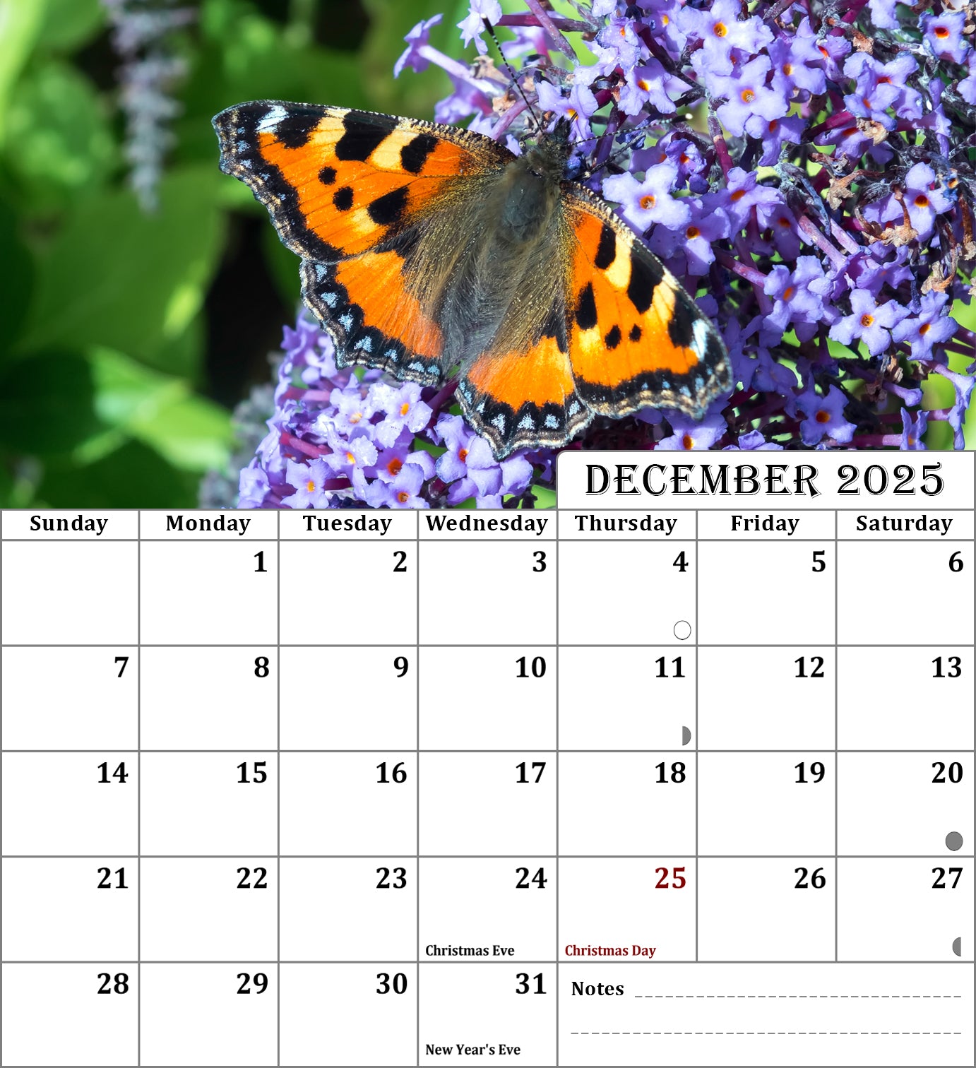 2025 CD-Style Desk Calendar 12 Months Calendar / Planner / Desk Calendar With CD Case Stand, Office Decor, Christmas Gifts (Butterflies)