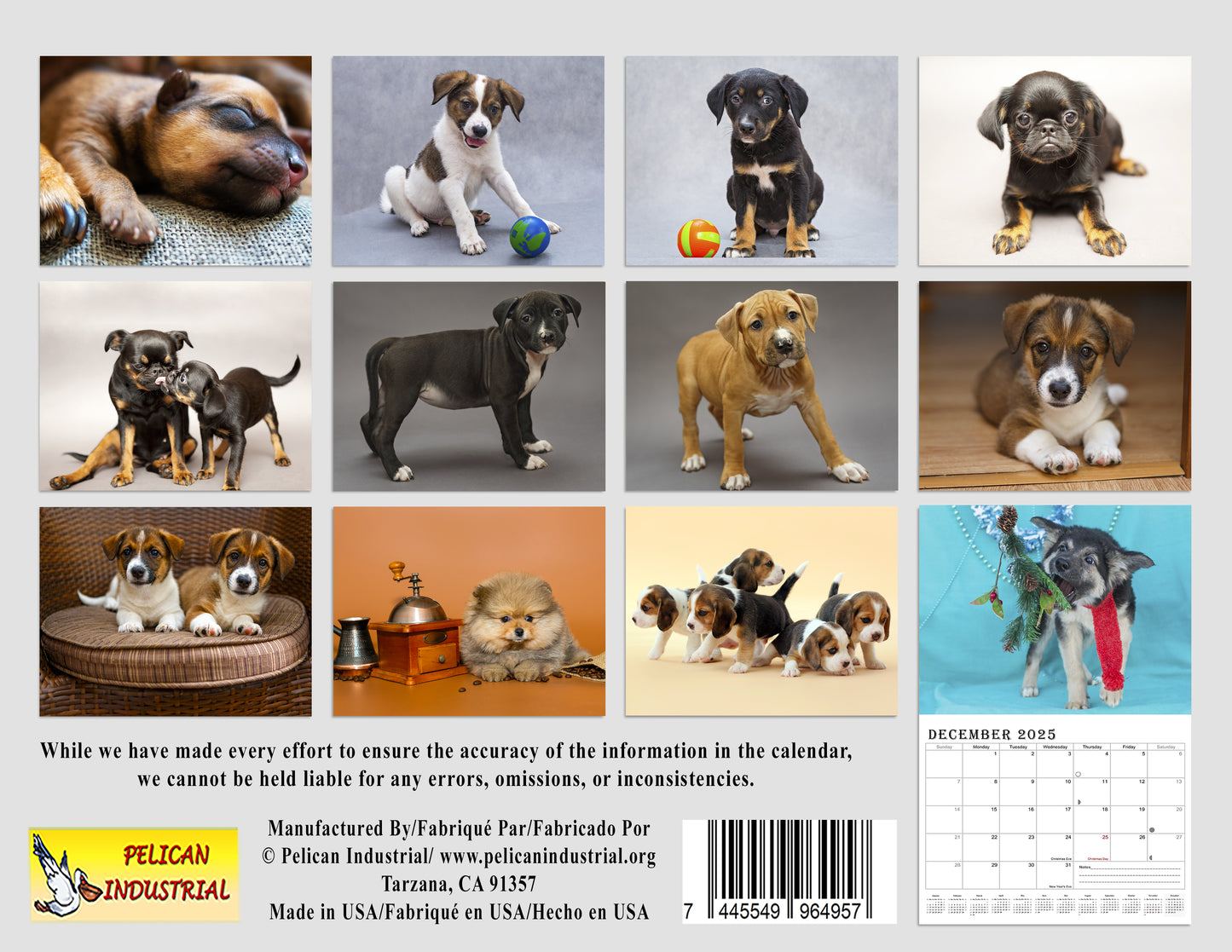 2025 Spiral-bound Wall Calendar (Dogs) - 12 Months Desktop/Wall Calendar/Planner