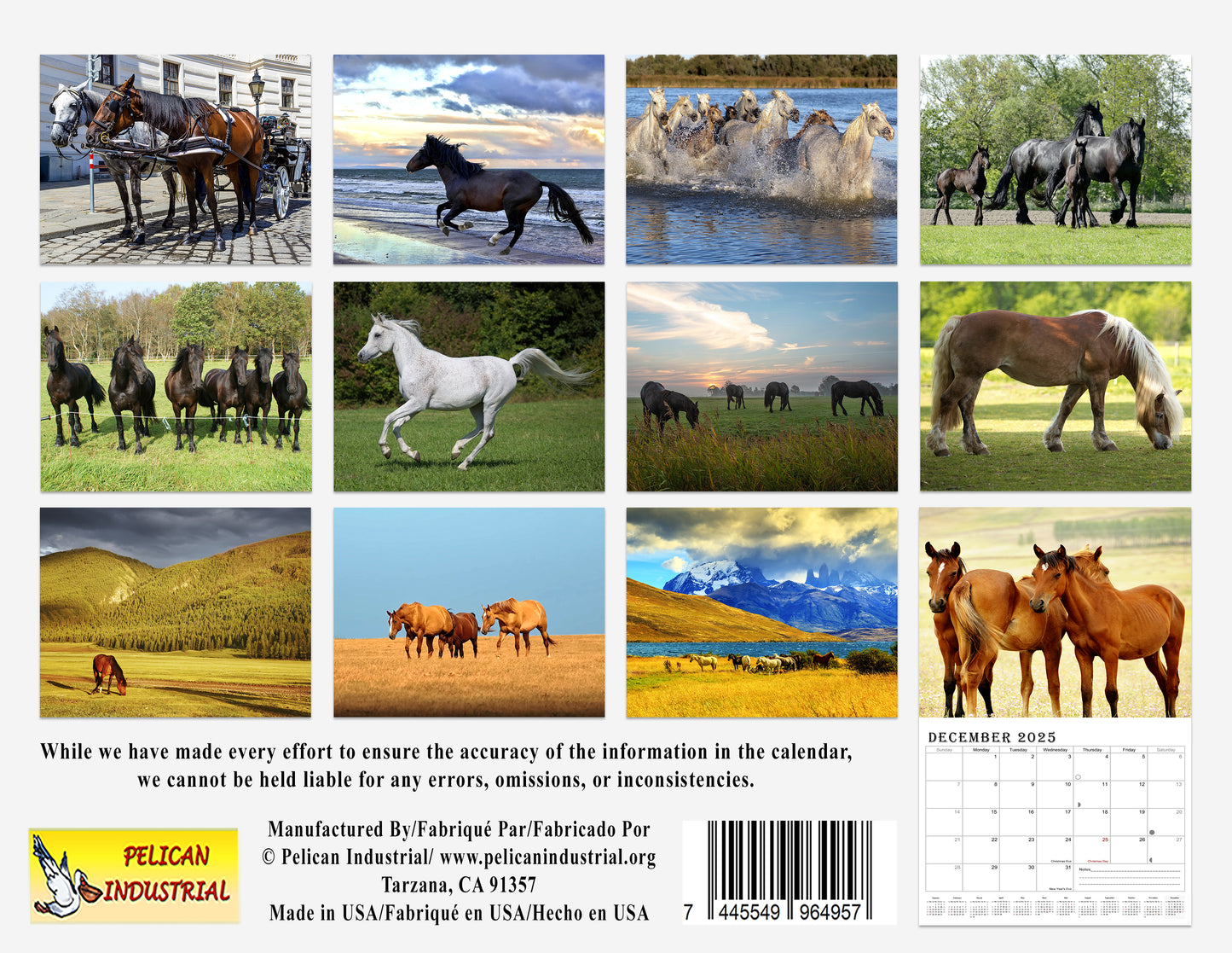 2025 Spiral-bound Wall Calendar (Horses) - 12 Months Desktop/Wall Calendar/Planner