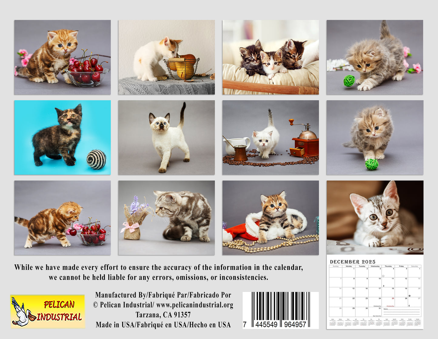 2025 Spiral-bound Wall Calendar (Kittens) - 12 Months Desktop/Wall Calendar/Planner