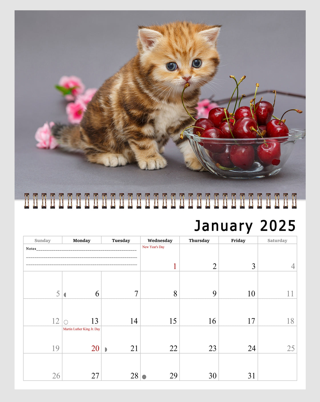 2025 Spiral-bound Wall Calendar (Kittens) - 12 Months Desktop/Wall Calendar/Planner