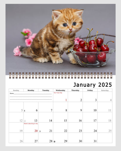 2025 Spiral-bound Wall Calendar (Kittens) - 12 Months Desktop/Wall Calendar/Planner