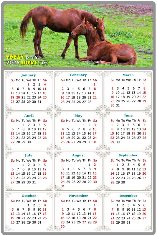 2025 Magnetic Calendar - Calendar Magnets - Today is my Lucky Day - (Fade, Tear, and Water Resistant) - Horses Themed 019