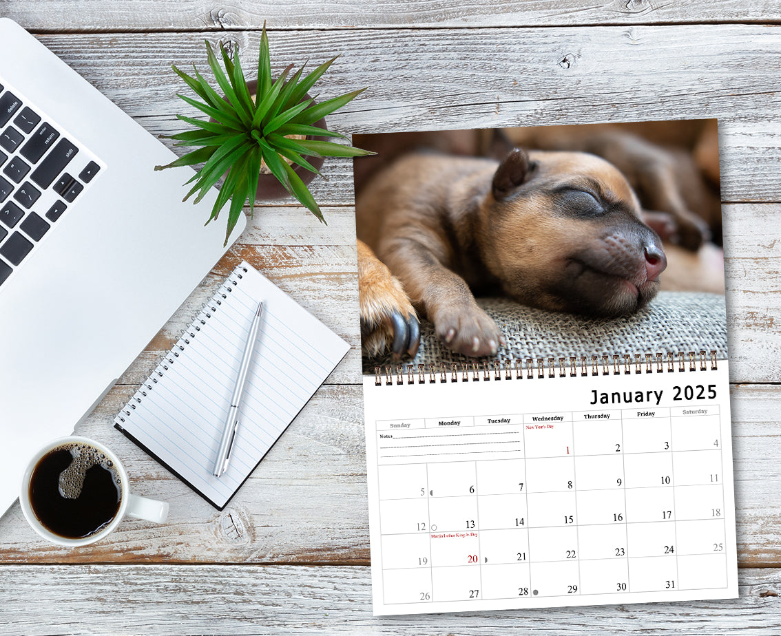 2025 Spiral-bound Wall Calendar (Dogs) - 12 Months Desktop/Wall Calendar/Planner