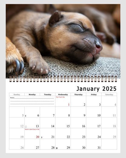 2025 Spiral-bound Wall Calendar (Dogs) - 12 Months Desktop/Wall Calendar/Planner