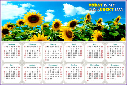 2025 Peel & Stick Calendar - Today is my Lucky Day - Removable, Repositionable - 034 (9"x 6")