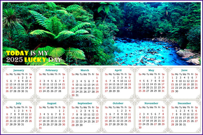 2025 Peel & Stick Calendar - Today is my Lucky Day - Removable - Waipoua Kauri Reserve (9"x 6")