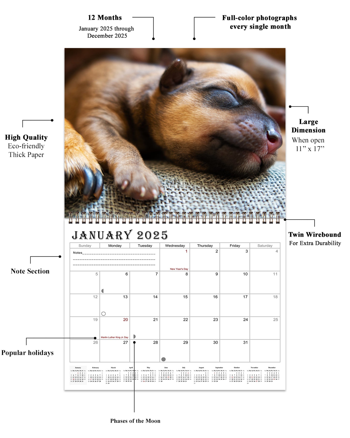 2025 Spiral-bound Wall Calendar (Dogs) - 12 Months Desktop/Wall Calendar/Planner