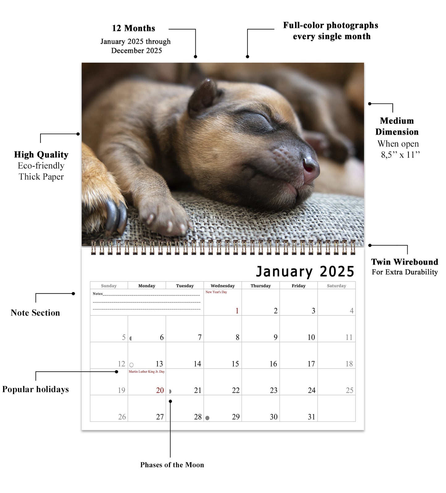 2025 Spiral-bound Wall Calendar (Dogs) - 12 Months Desktop/Wall Calendar/Planner