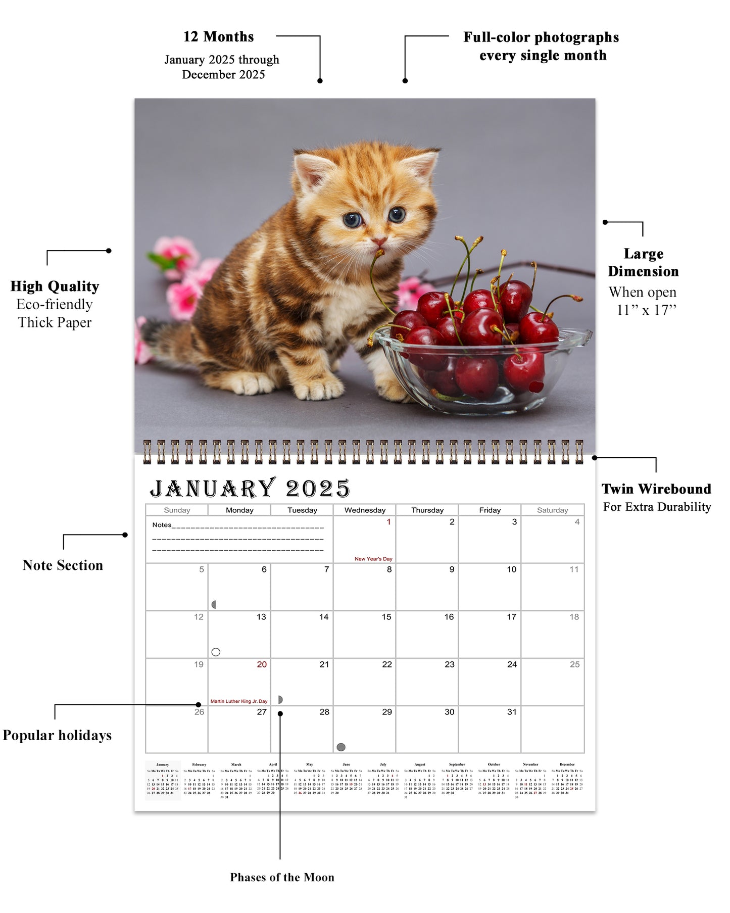 2025 Spiral-bound Wall Calendar (Kittens) - 12 Months Desktop/Wall Calendar/Planner