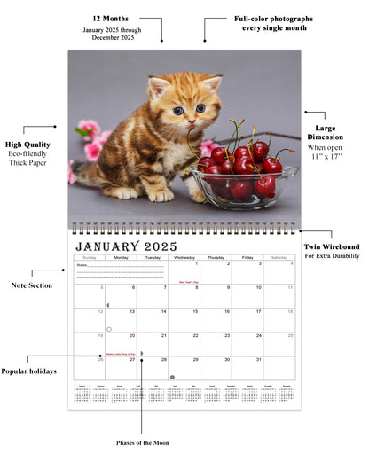 2025 Spiral-bound Wall Calendar (Kittens) - 12 Months Desktop/Wall Calendar/Planner