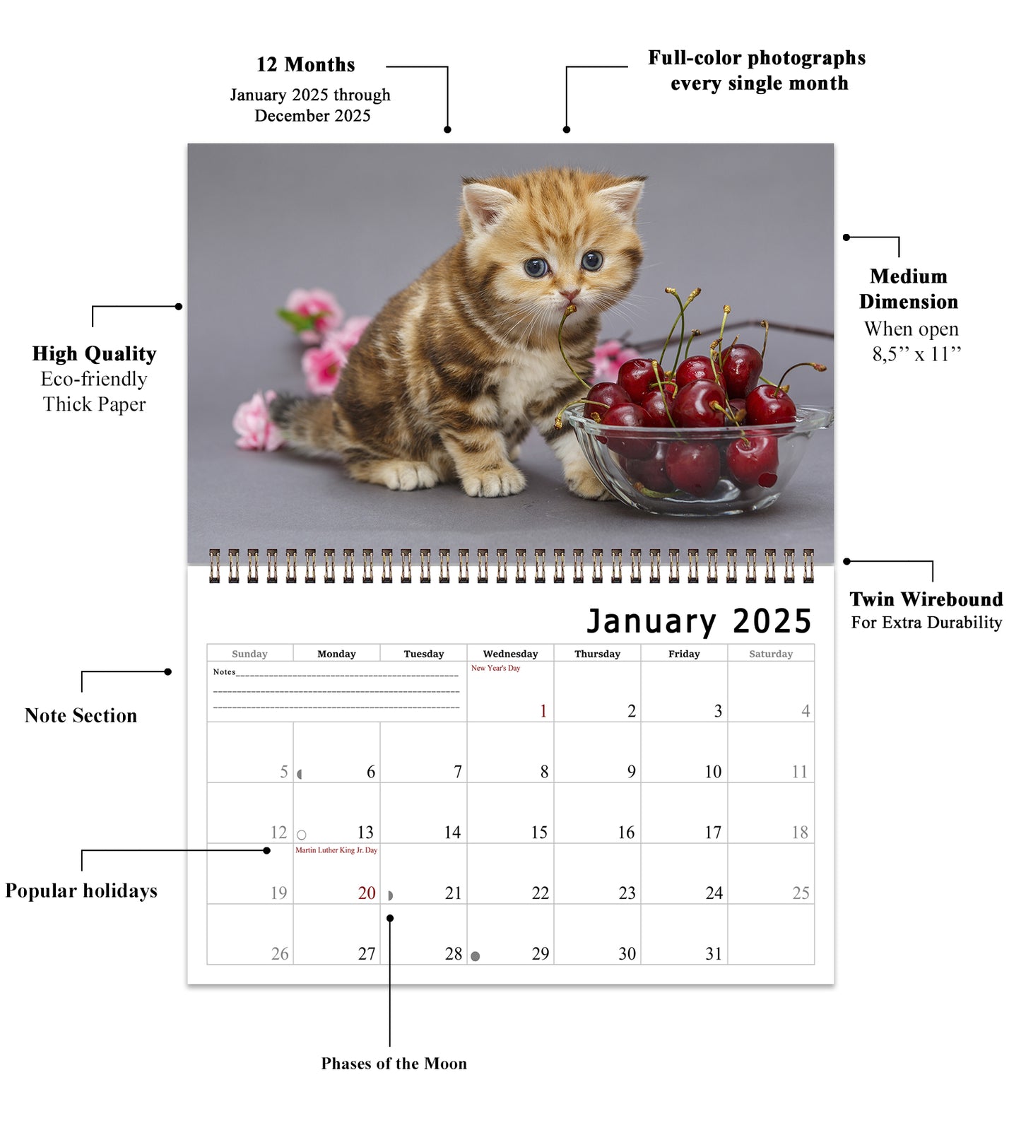 2025 Spiral-bound Wall Calendar (Kittens) - 12 Months Desktop/Wall Calendar/Planner