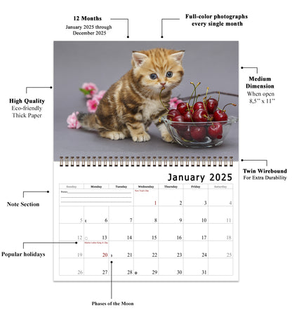 2025 Spiral-bound Wall Calendar (Kittens) - 12 Months Desktop/Wall Calendar/Planner