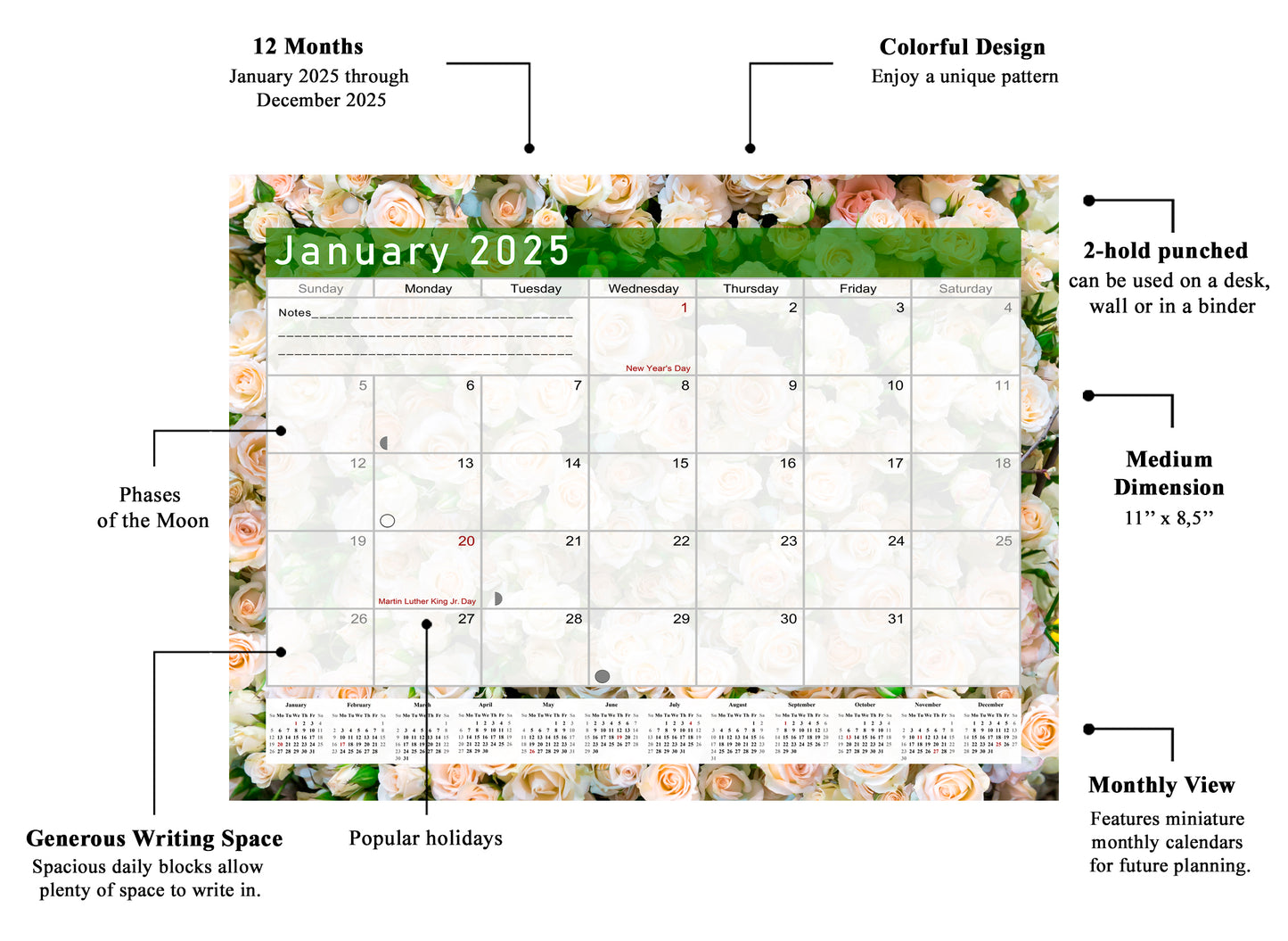 2025 Monthly Magnetic/Desk Calendar - 12 Months Desktop/Wall Calendar/Planner - (Edition #23)