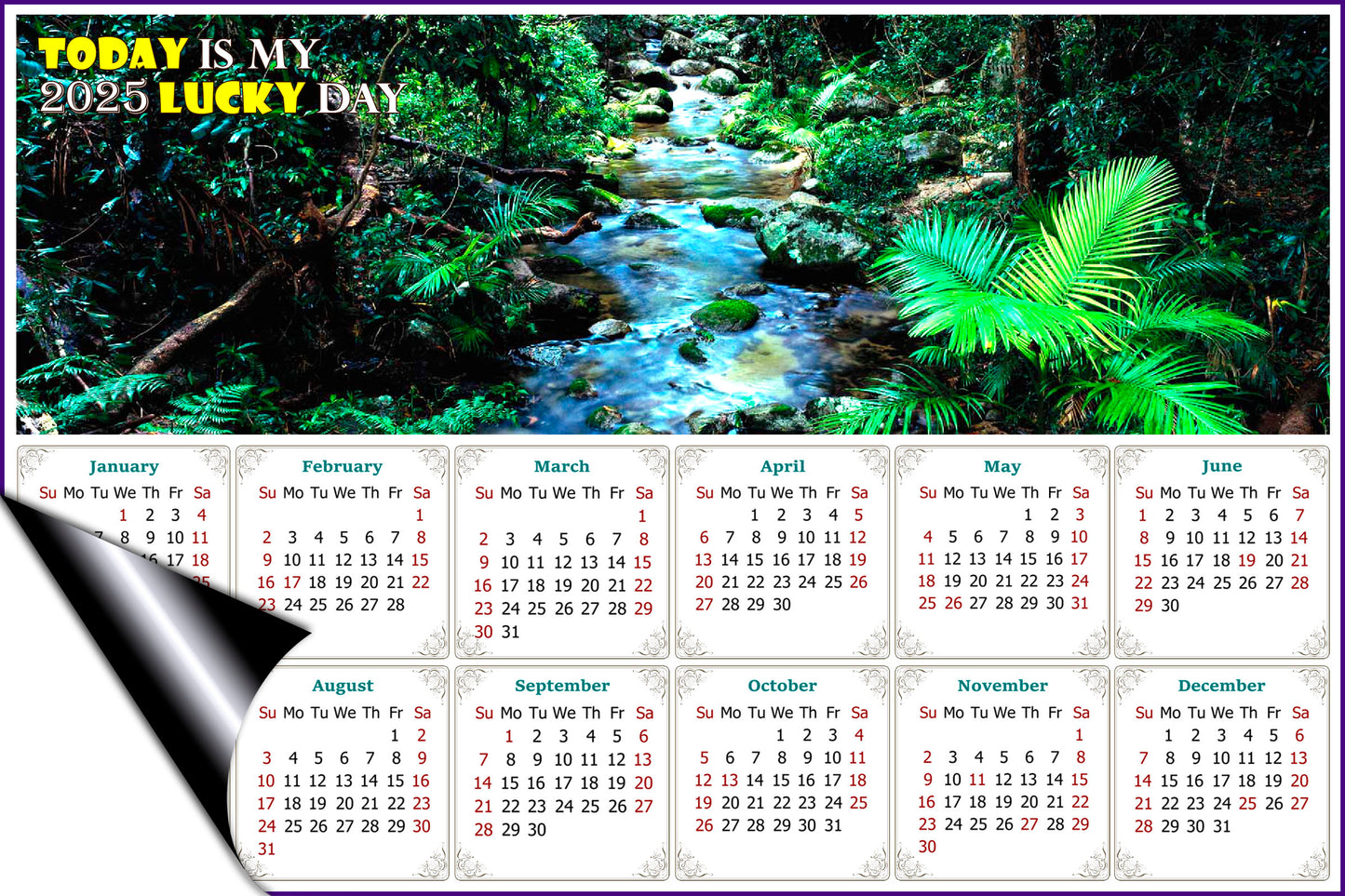 2025 Magnetic Calendar - Calendar Magnets - Today is My Lucky Day (Daintree National Park)