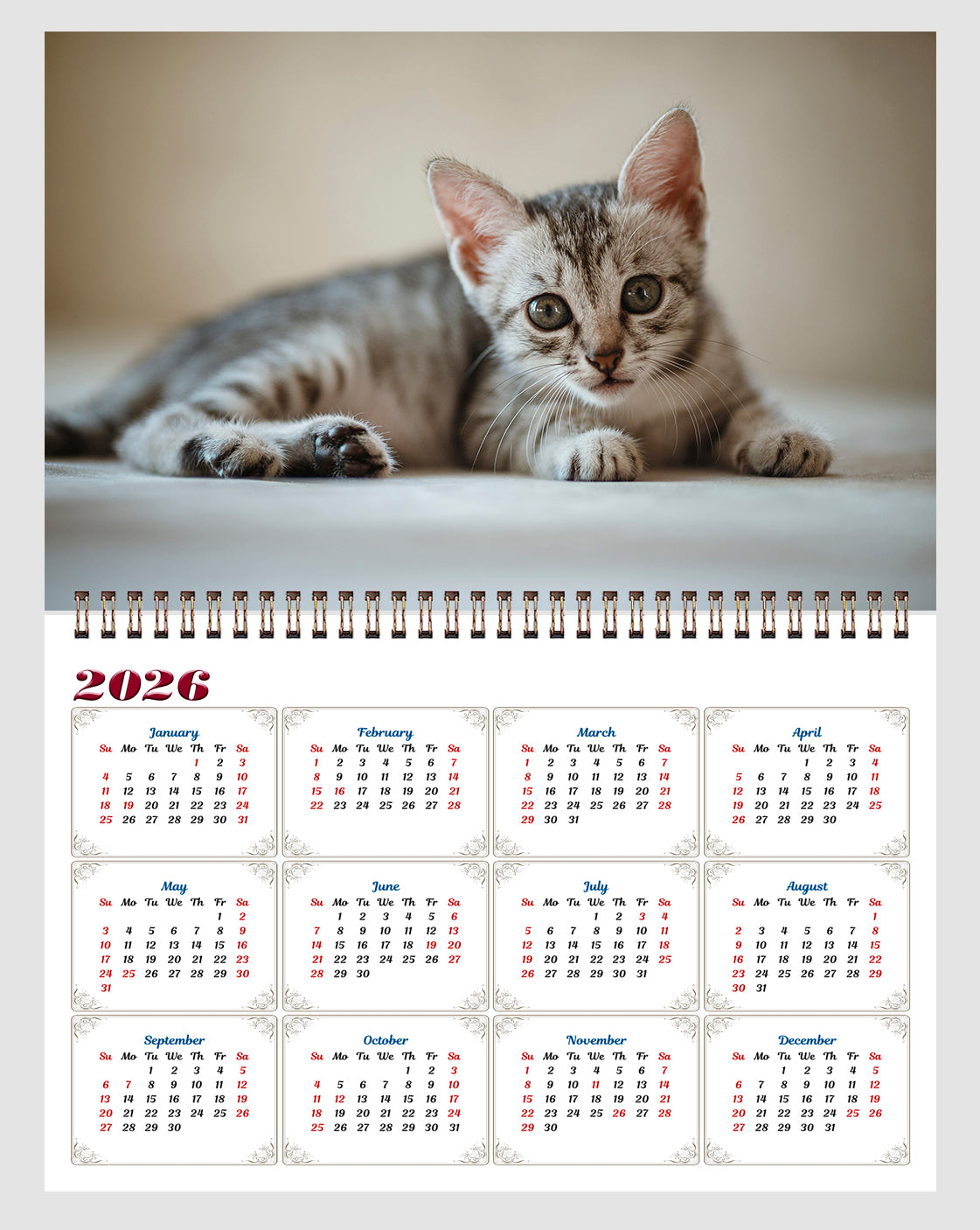 2025 Spiral-bound Wall Calendar (Kittens) - 12 Months Desktop/Wall Calendar/Planner