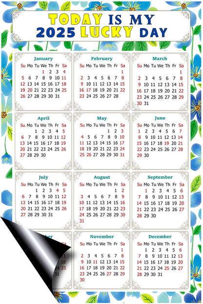 2025 Peel & Stick Calendar - Today is my Lucky Day Removable - 014