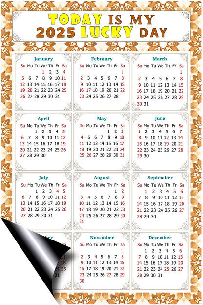 2025 Peel & Stick Calendar - Today is my Lucky Day Removable - 042