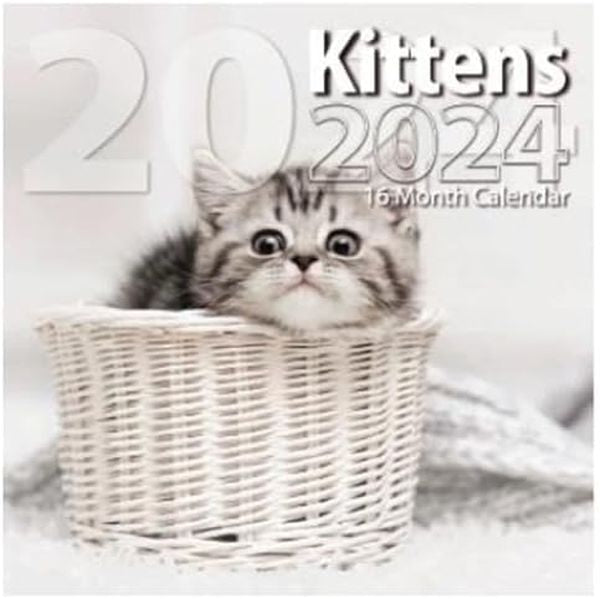 2024 Kittens Full Size Wall Calendar for Planning, Scheduling, and Organizing