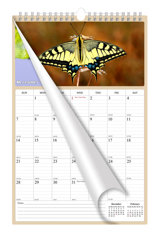 2025 Wall Calendar Spiral-bound Twin-Wire Binding - 12 Months Planner - Large Ruled Blocks with Julian Dates - (Butterfly)