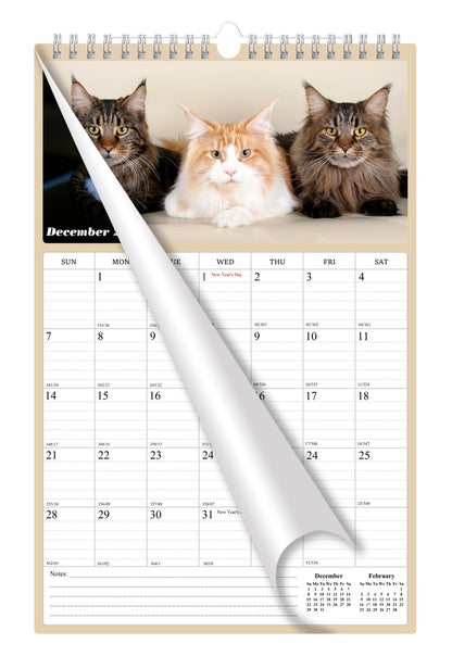 2025 Wall Calendar Spiral-bound Twin-Wire Binding - 12 Months Planner - Large Ruled Blocks with Julian Dates - (Cats)