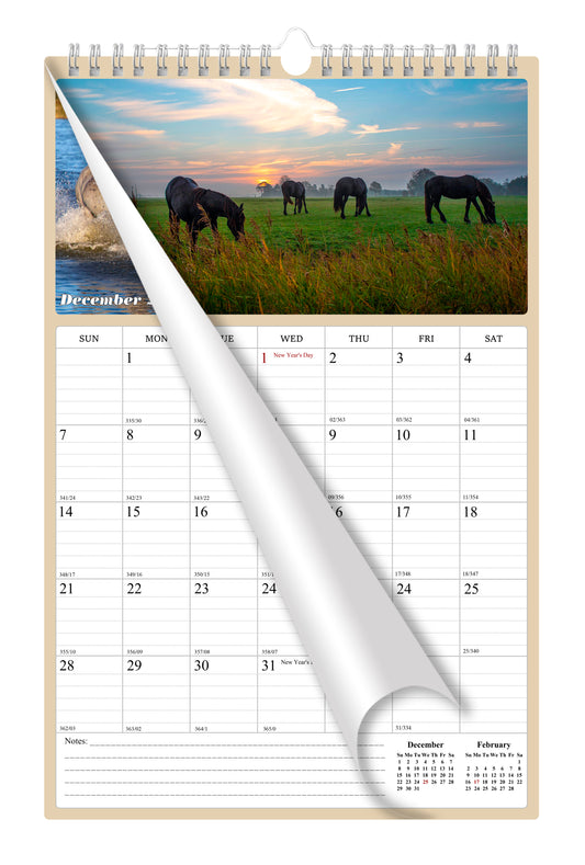 2025 Wall Calendar Spiral-bound Twin-Wire Binding - 12 Months Planner - Large Ruled Blocks with Julian Dates - (Horses)