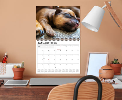 2025 Spiral-bound Wall Calendar (Dogs) - 12 Months Desktop/Wall Calendar/Planner