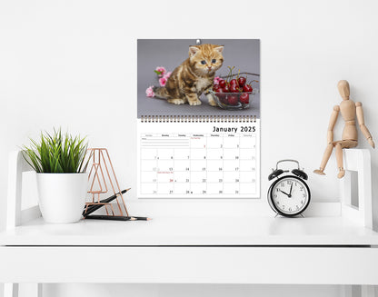 2025 Spiral-bound Wall Calendar (Kittens) - 12 Months Desktop/Wall Calendar/Planner