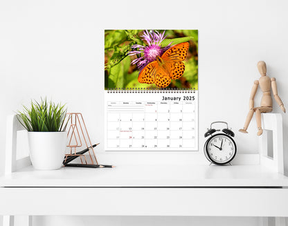 2025 Spiral-bound Wall Calendar (Butterflyes) - 12 Months Desktop/Wall Calendar/Planner