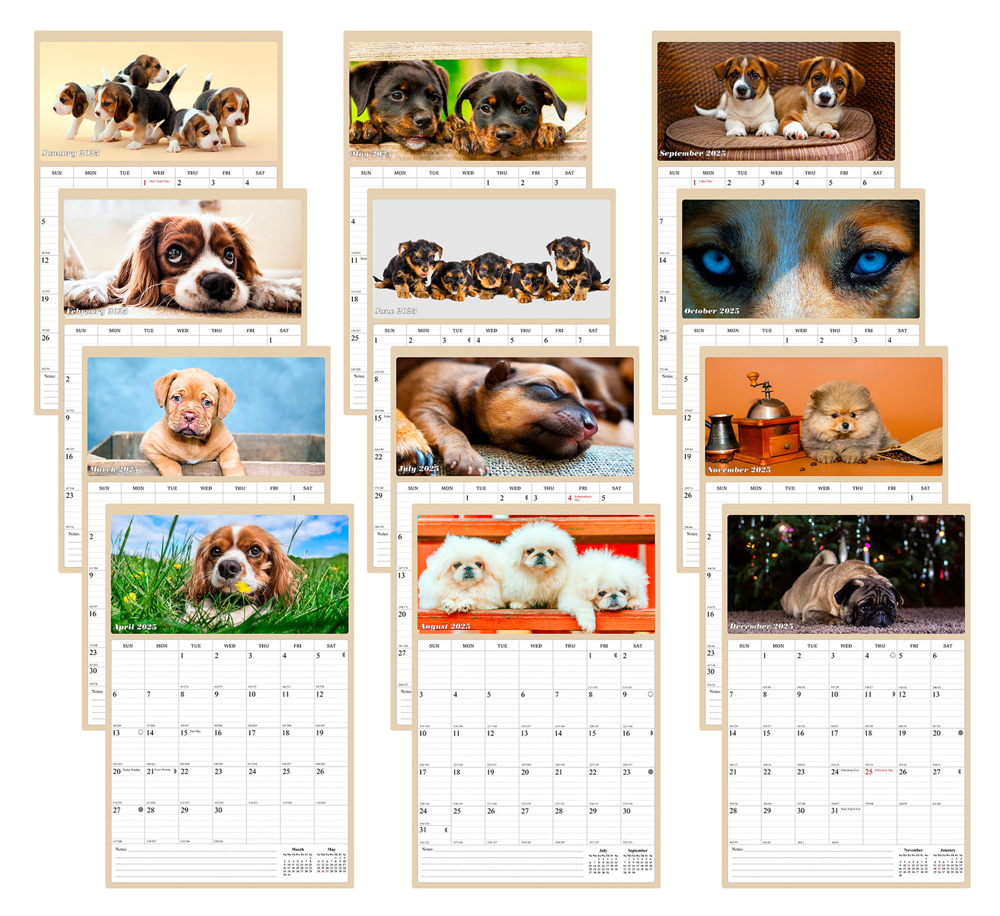 2025 Wall Calendar Spiral-bound Twin-Wire Binding - 12 Months Planner - Large Ruled Blocks with Julian Dates - (Dogs)