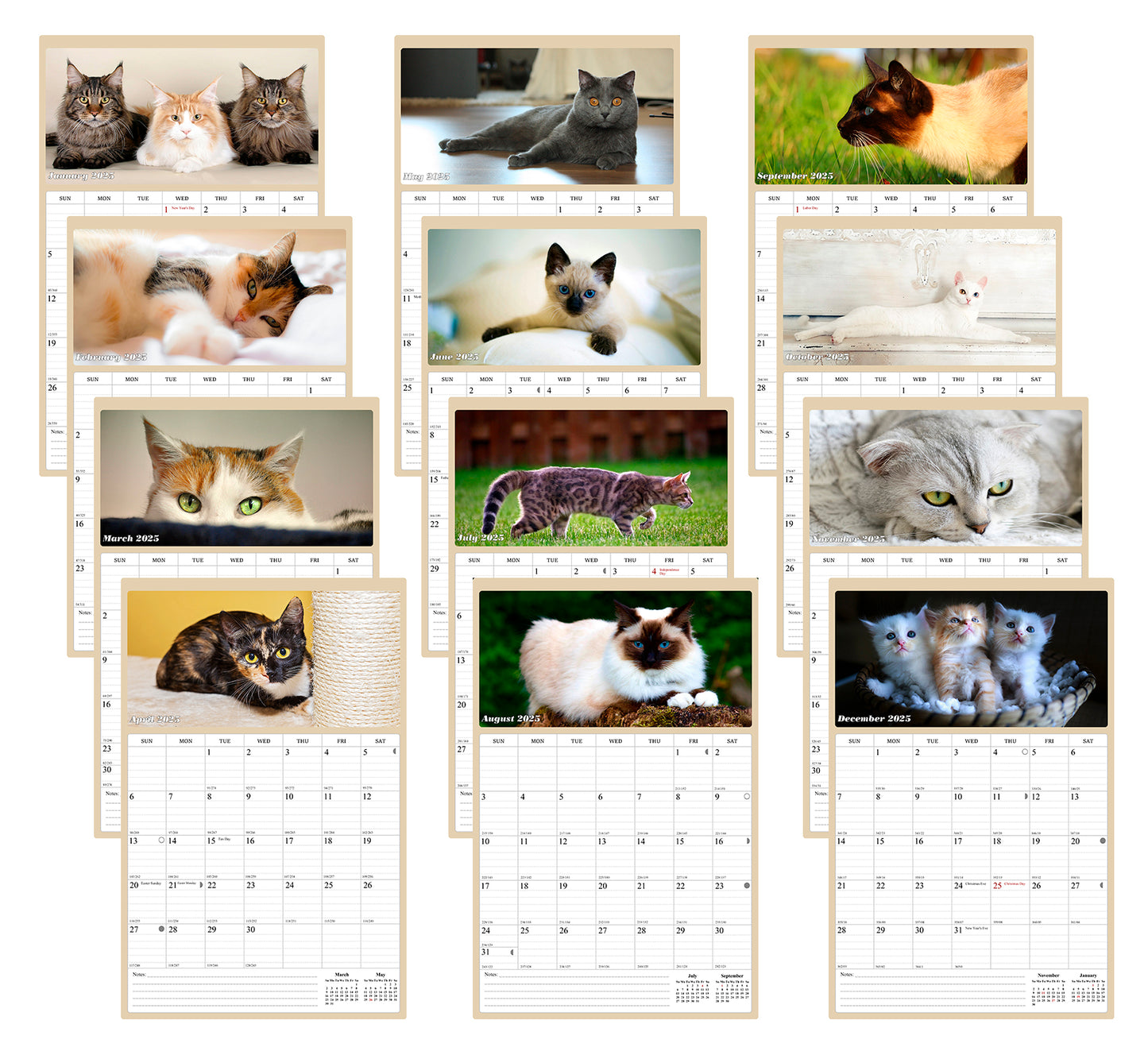 2025 Wall Calendar Spiral-bound Twin-Wire Binding - 12 Months Planner - Large Ruled Blocks with Julian Dates - (Cats)