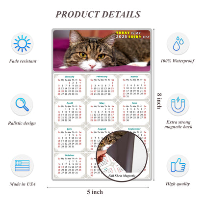 2025 Magnetic Calendar - Today is My Lucky Day (Fade, Tear, and Water Resistant)- Cat Themed 022