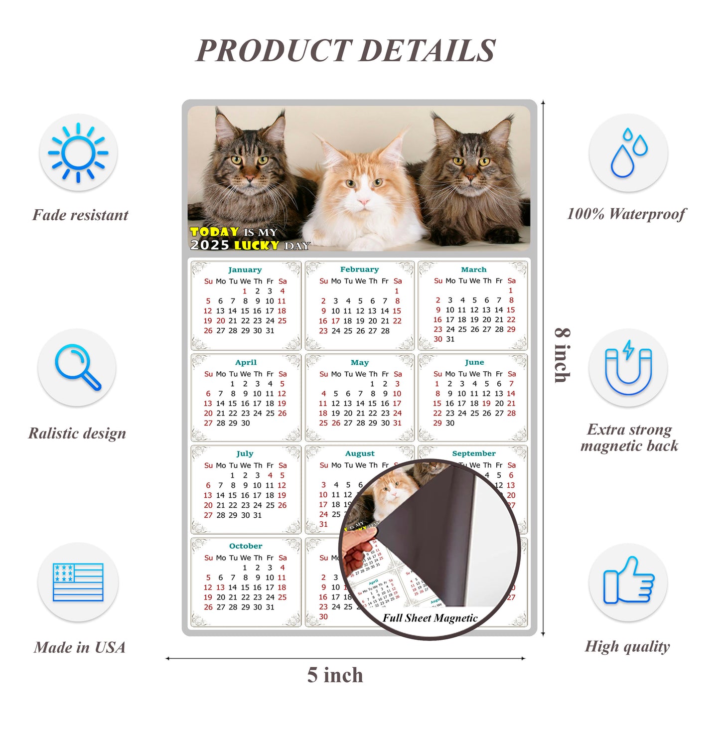 2025 Magnetic Calendar - Today is My Lucky Day (Fade, Tear, and Water Resistant)- Cat Themed 015