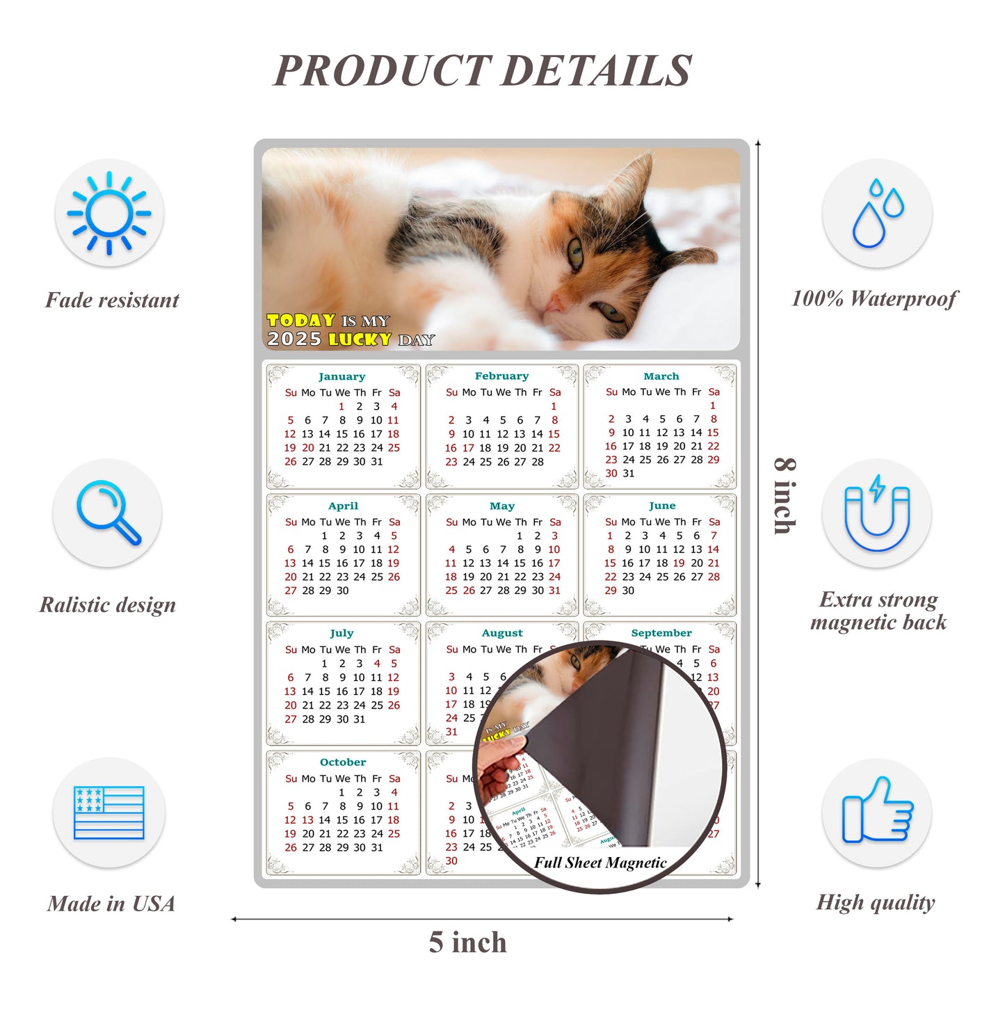 2025 Magnetic Calendar - Today is My Lucky Day (Fade, Tear, and Water Resistant)- Cat Themed 04