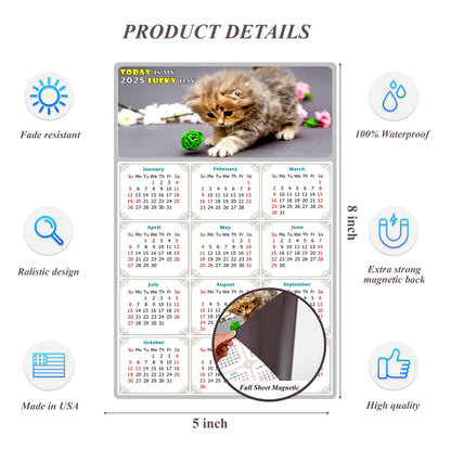 2025 Magnetic Calendar - Today is My Lucky Day (Fade, Tear, and Water Resistant)- Cat Themed 017