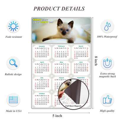 2025 Magnetic Calendar - Today is My Lucky Day (Fade, Tear, and Water Resistant)- Cat Themed 013