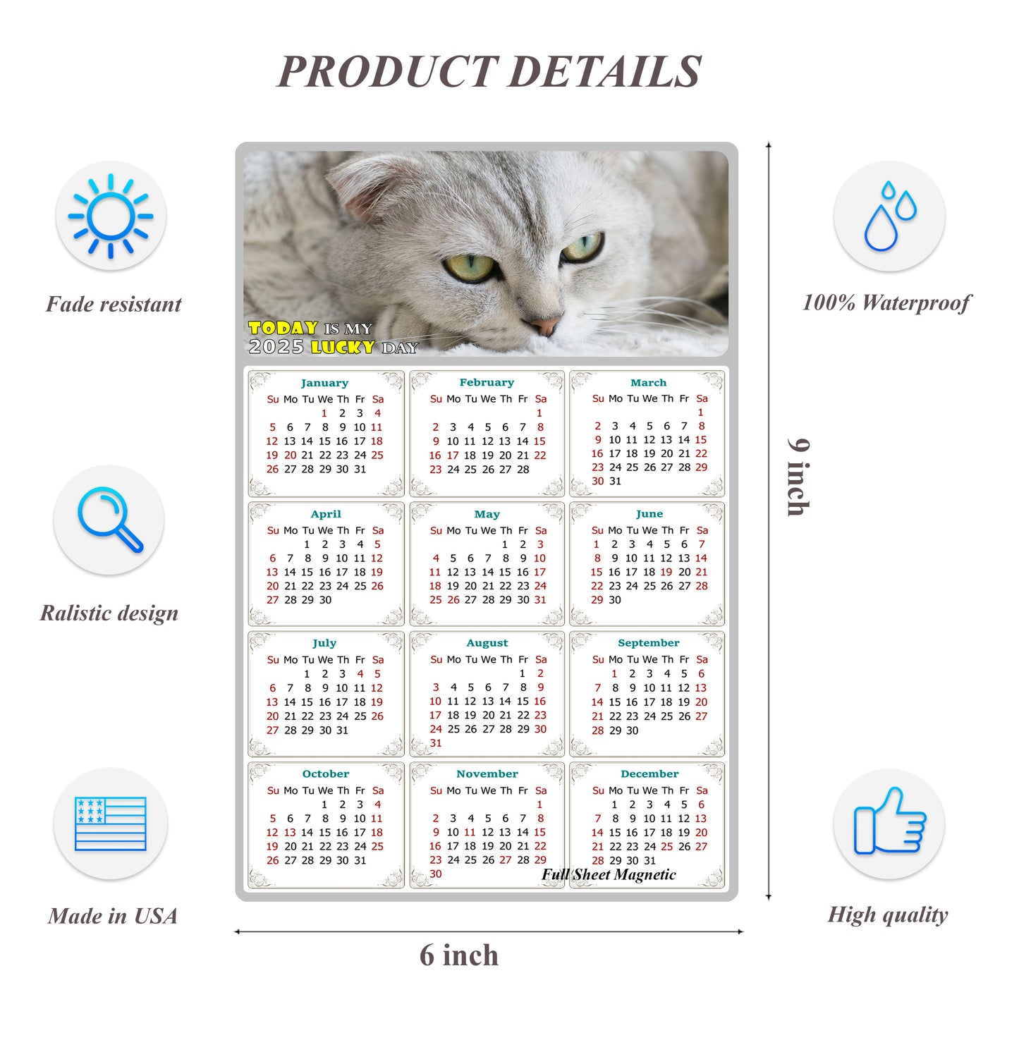 2025 Peel & Stick Calendar - Today is my Lucky Day Removable - Cat 01 (9"x 6")