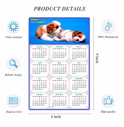 2025 Peel & Stick Calendar - Today is my Lucky Day Removable - Dogs 011 (9"x 6")