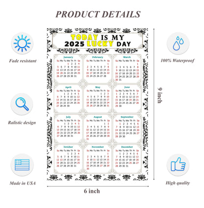 2025 Peel & Stick Calendar - Today is my Lucky Day Removable - 039