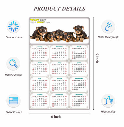 2025 Peel & Stick Calendar - Today is my Lucky Day Removable - Dogs 016 (9"x 6")