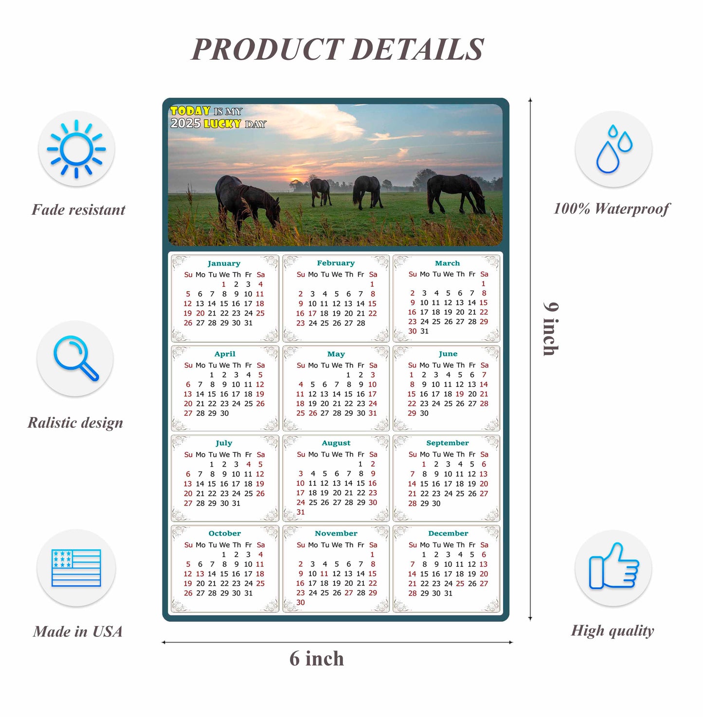 2025 Peel & Stick Calendar - Today is my Lucky Day Removable - Horses 04 (9"x 6")