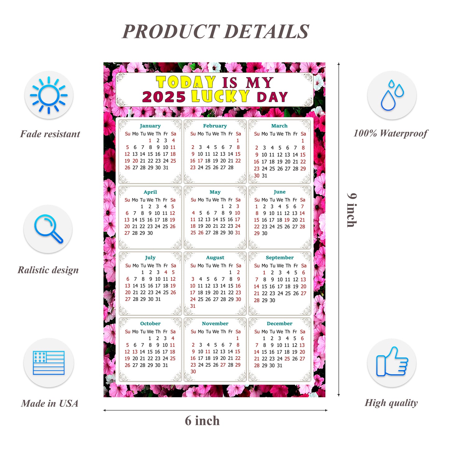 2025 Peel & Stick Calendar - Today is my Lucky Day Removable - 027