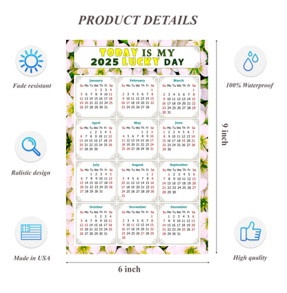 2025 Peel & Stick Calendar - Today is my Lucky Day Removable - 029