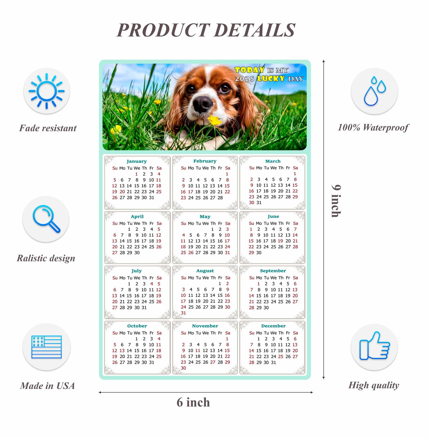 2025 Peel & Stick Calendar - Today is my Lucky Day Removable - Dogs 06 (9"x 6")