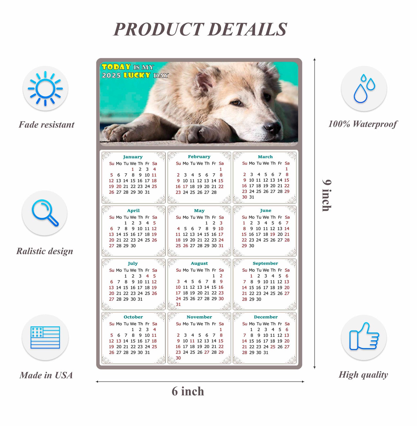 2025 Peel & Stick Calendar - Today is my Lucky Day Removable - Dogs 015 (9"x 6")