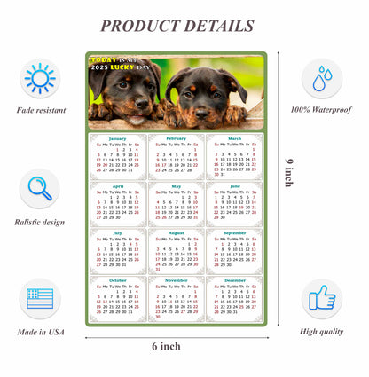 2025 Peel & Stick Calendar - Today is my Lucky Day Removable - Dogs 04 (9"x 6")